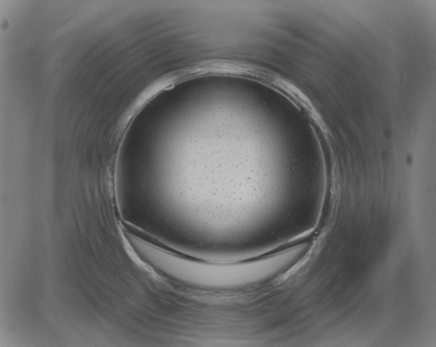 X0000083051433200702161720