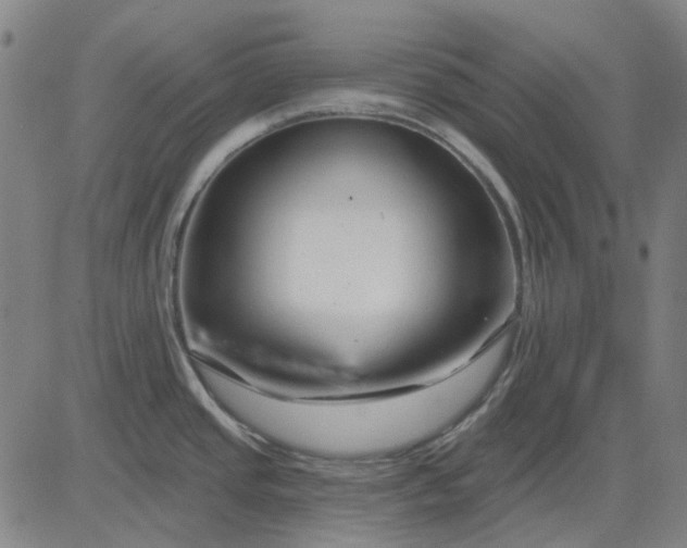 X0000083051437200702161720