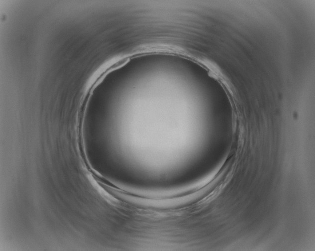X0000083051438200702161720