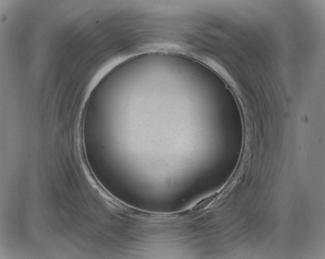 X0000083051440200702161720