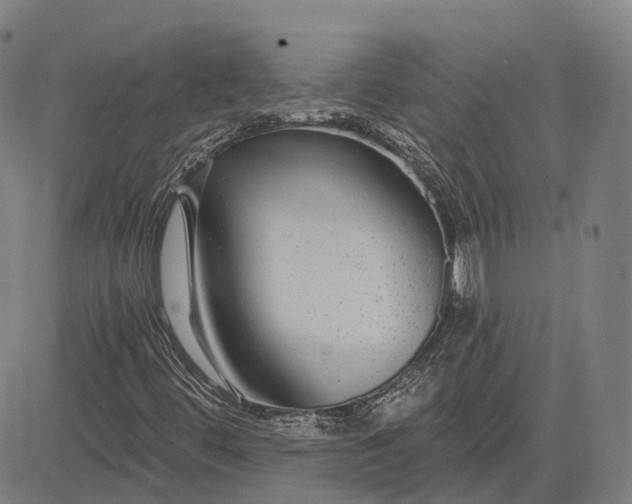 X0000083051444200702161719