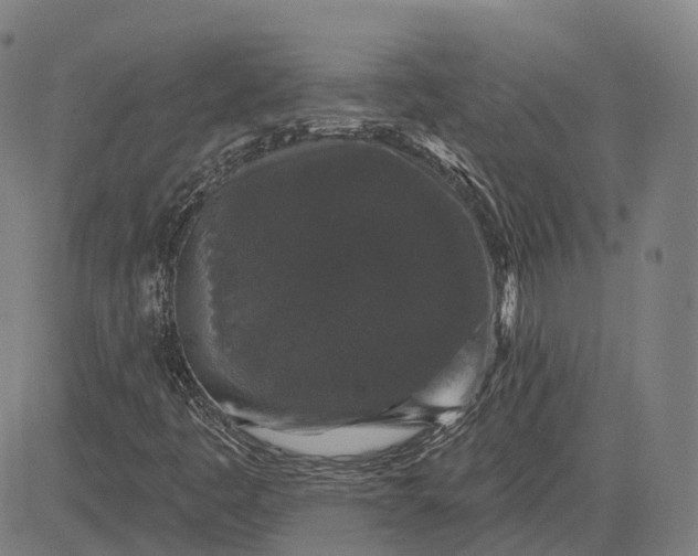 X0000083051445200702161719