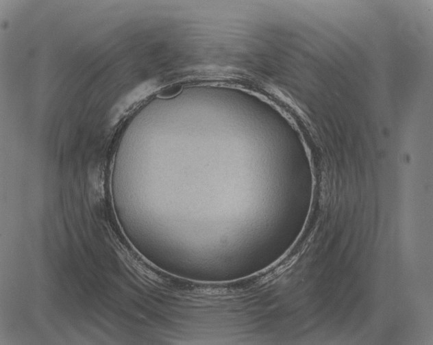 X0000083051451200702161719