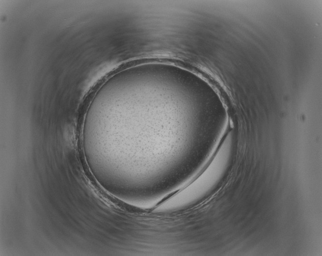 X0000083051452200702161719