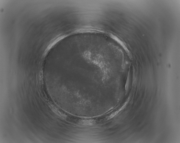 X0000083051453200702161719