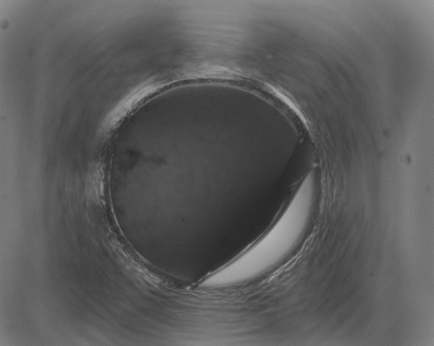 X0000083051455200702161719