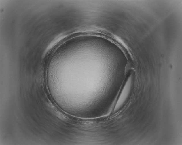 X0000083051456200702161719