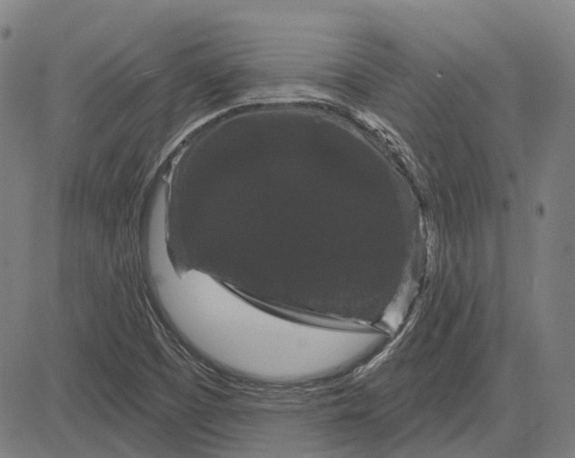 X0000083051457200702161719