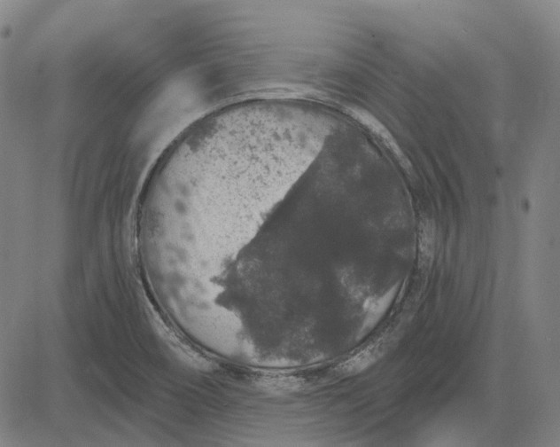 X0000083051466200702161719