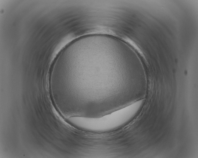X0000083051468200702161719