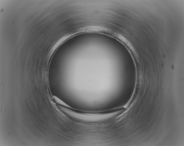 X0000083051473200702161719