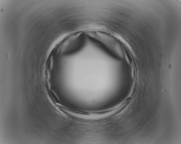 X0000083051477200702161719