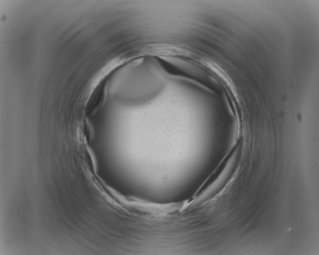 X0000083051481200702161719