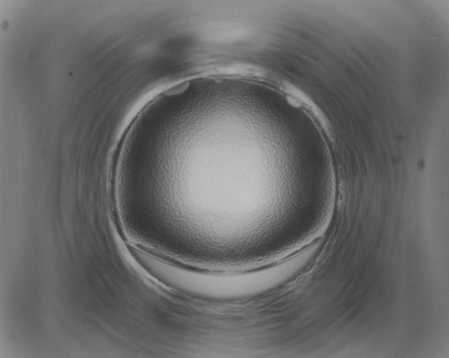 X0000083051483200702161719