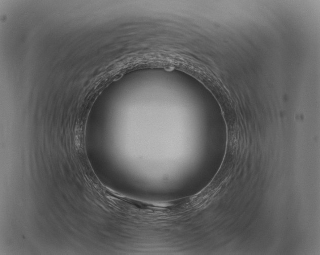 X0000083051490200702161718