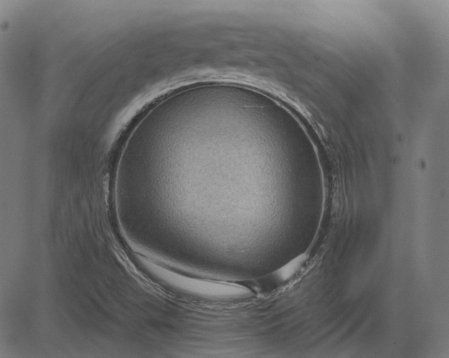 X0000083051503200702161718