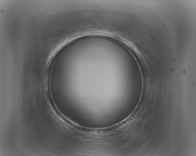 X0000083051504200702161718