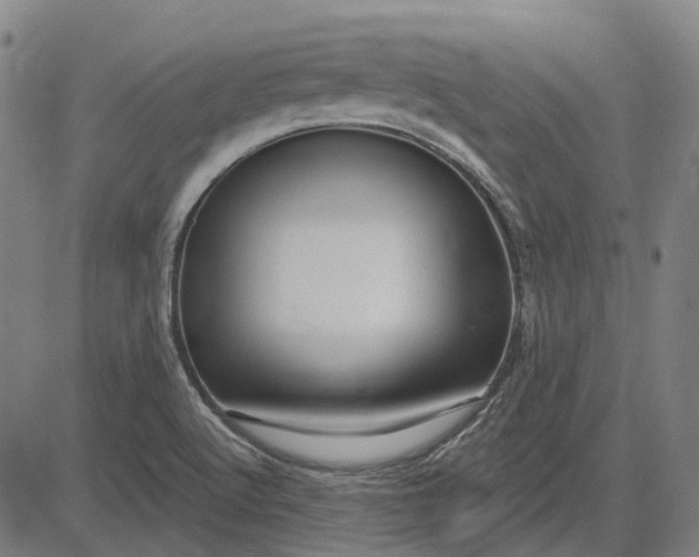 X0000083051512200702161718