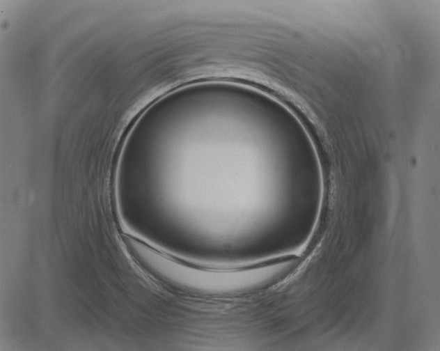 X0000083051513200702161718