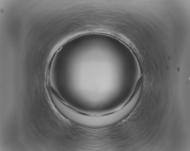 X0000083051520200702161718