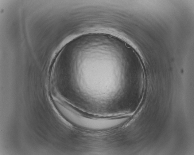 X0000083051525200702161719