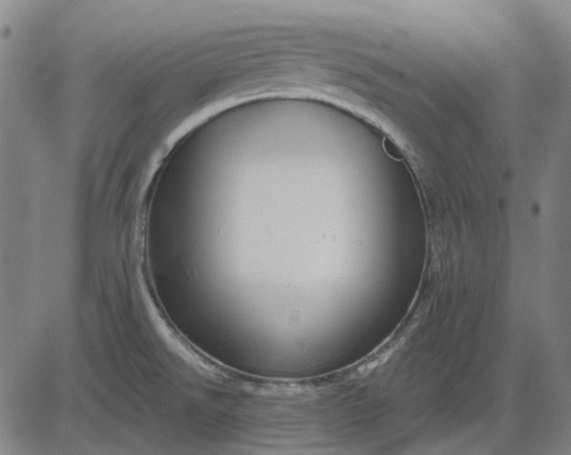 X0000083051526200702161719
