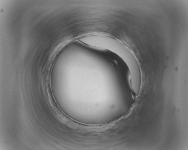 X0000083050001200702232007