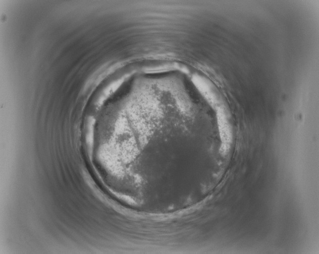 X0000083050002200702232007