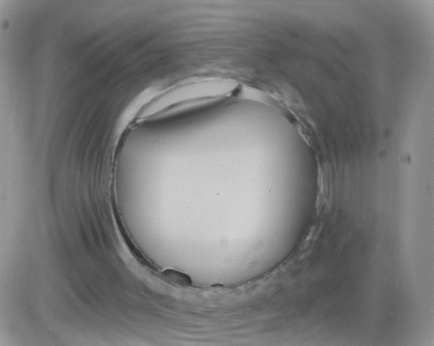 X0000083050003200702232007