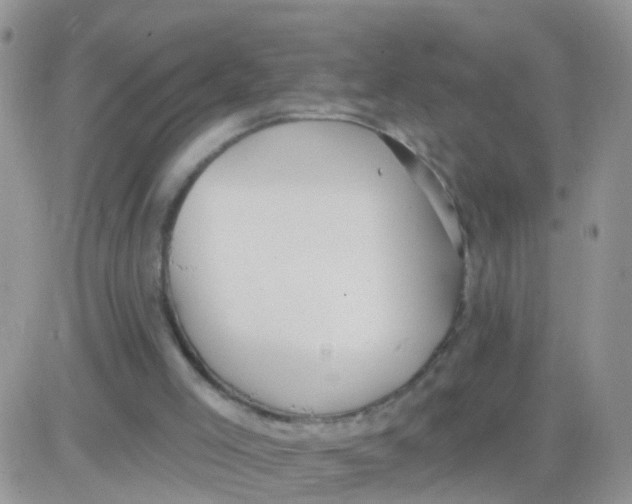 X0000083050005200702232007