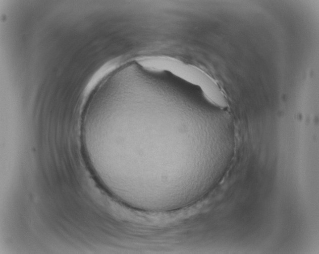 X0000083050006200702232007