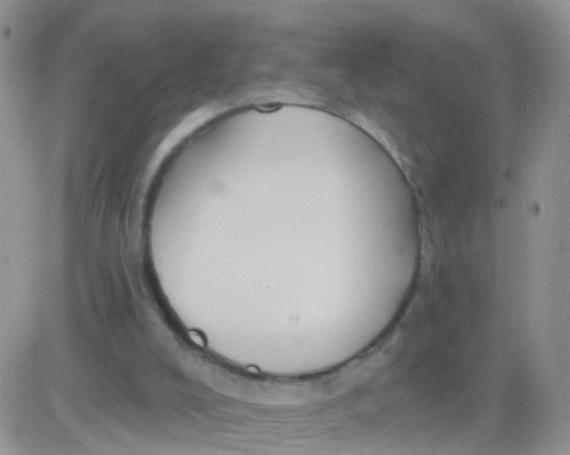 X0000083050008200702232007