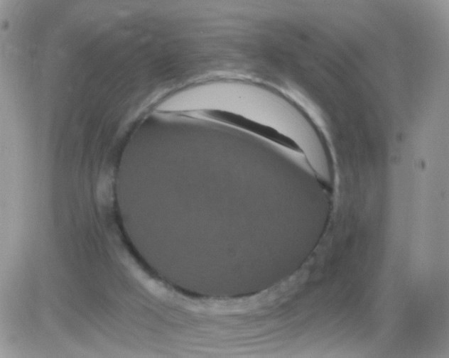 X0000083050009200702232007