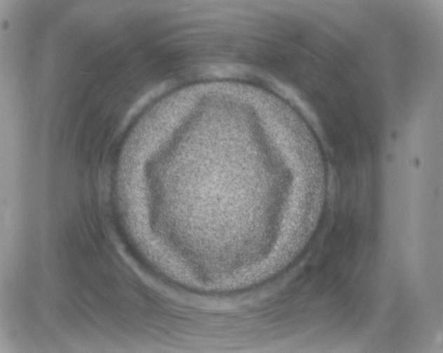 X0000083050010200702232007