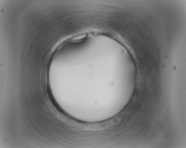 X0000083050011200702232007