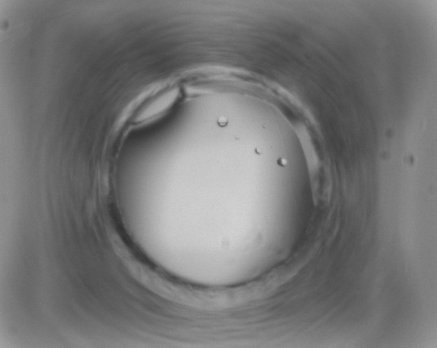 X0000083050015200702232007