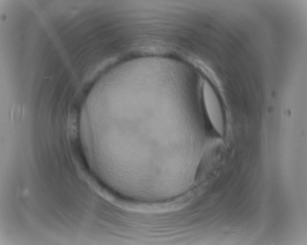 X0000083050017200702232007