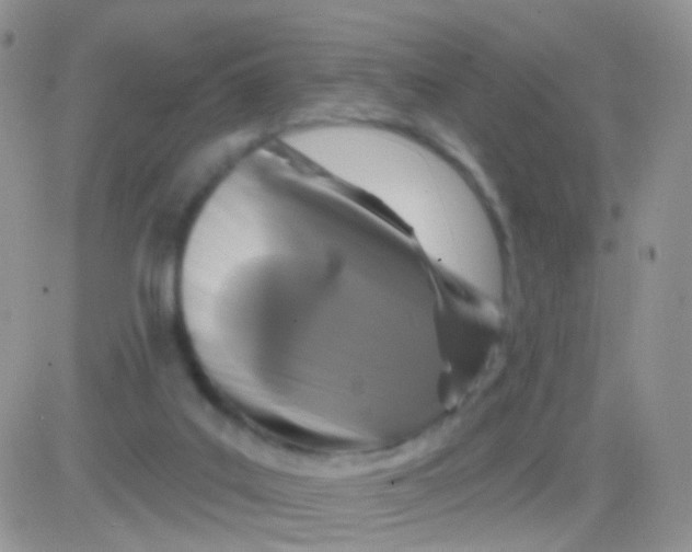 X0000083050019200702232007