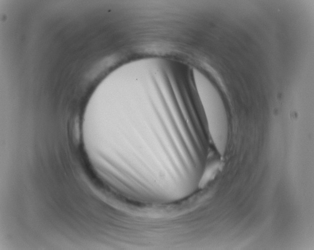 X0000083050020200702232007