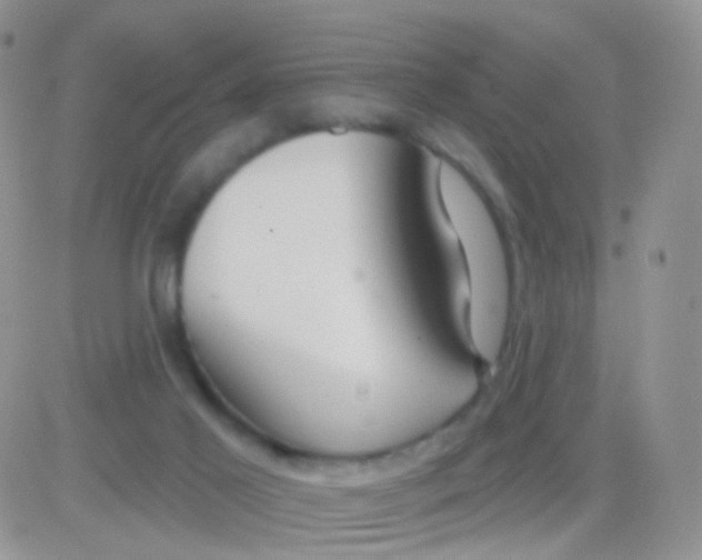 X0000083050021200702232007