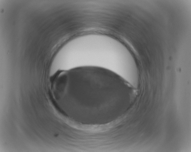 X0000083050023200702232007