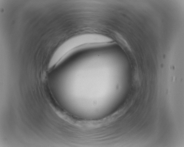 X0000083050025200702232007