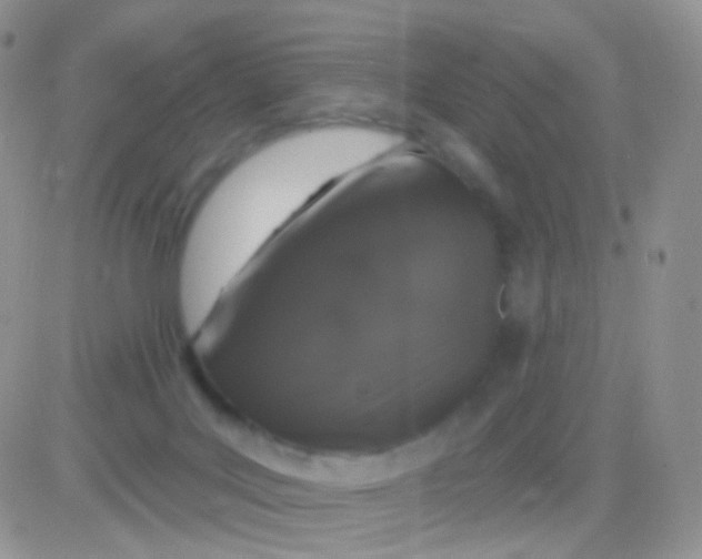 X0000083050027200702232007