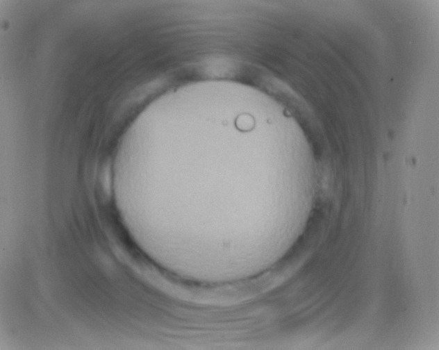 X0000083050028200702232007