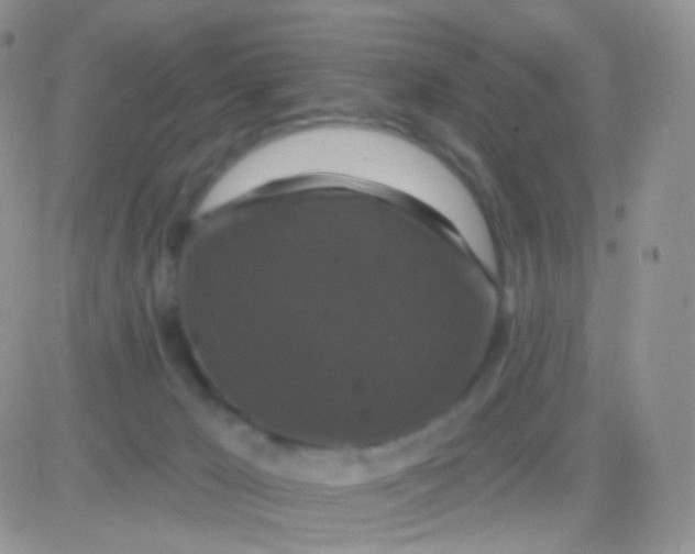 X0000083050029200702232007