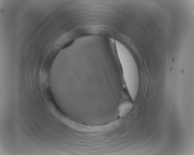 X0000083050031200702232007