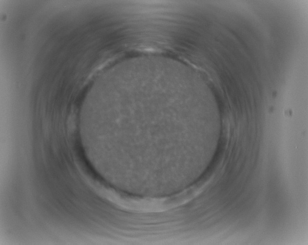 X0000083050032200702232007