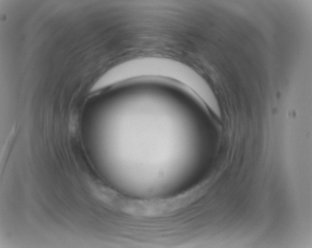 X0000083050033200702232007