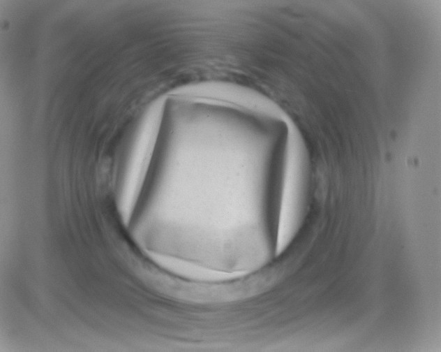 X0000083050034200702232007