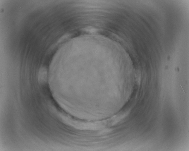 X0000083050036200702232007